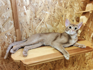 Зельдович в гостинице для животных ЗооХутор