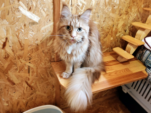 Царевна в гостинице для животных ЗооХутор